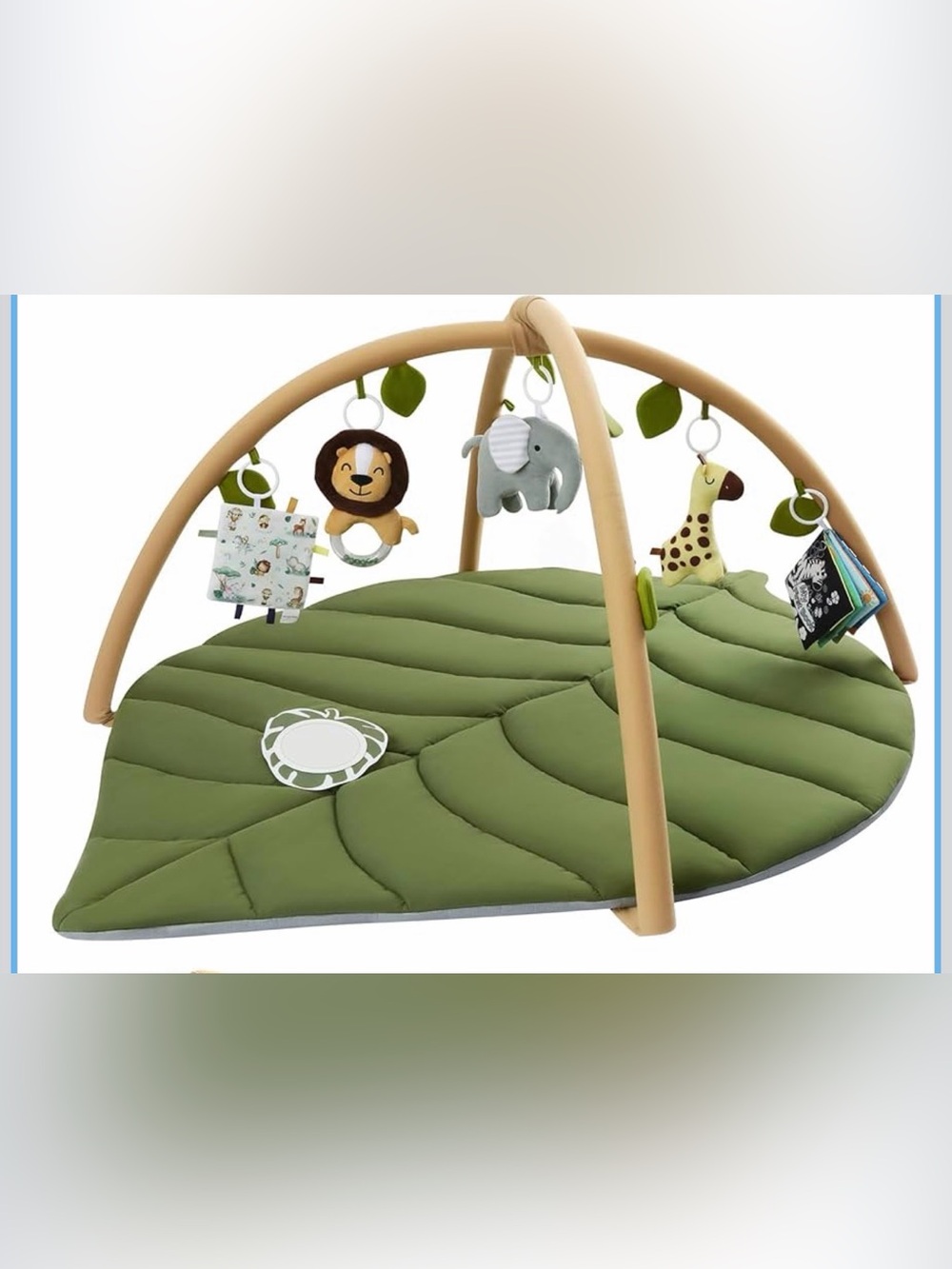 Baby Play Gym & Activity Mat